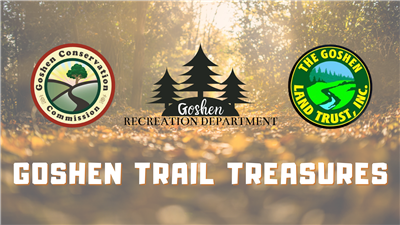 trail treasures updated